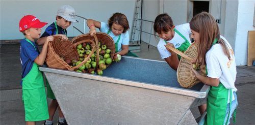 Leon, Linus, Sofia, Luisa und Theresa vom Nußdorfer Obst- und Gartenbauverein bringen ihre magere Ausbeute zur Obstsaftverwertung nach Rohrdorf.Foto Steffenhagen