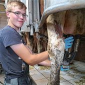 Wetterkapriolen verhageln Erntebilanz