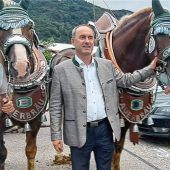 Viele Rückenprotektoren für Hubsi