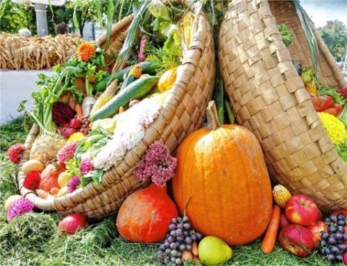 Wertvolle Lebensmittel aus regionaler Erzeugung: Die bayerischen Bauern wirtschaften hoch qualitativ und nachhaltig. Foto hö