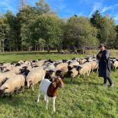 Die Jagd auf den Wolf ist eröffnet