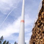 500 Windräder im Staatswald möglich