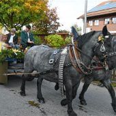 Traumhafter Leonhardiumritt in Happing: Mehr als 50 Pferde und Gespanne mit dabei