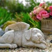 Darf man das Haustier im Garten vergraben?