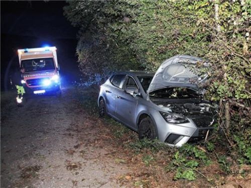 Das Ende einer langen Schneise durch die Wiese: Der Unfall-Seat hat sich tief ins Gebüsch gebohrt. Foto Reisner