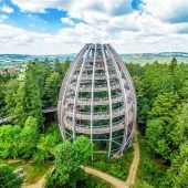 Den Bayerischen Wald im Herbst entdecken