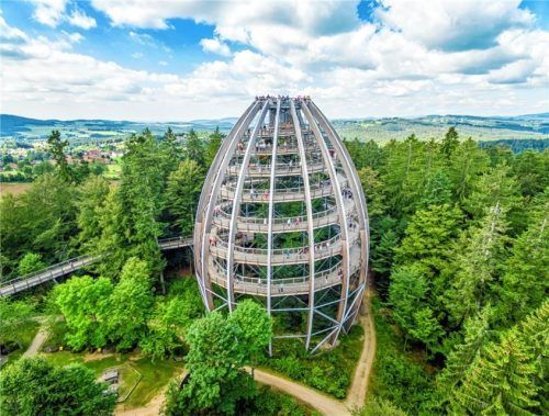 Der Baumwipfelpfad ist nur eines von zahlreichen Ausflugszielen in der Region Bayerischer Wald die auch und gerade im Herbst einen Besuch wert sind. Foto Erlebnis Akademie AG/Baumwipfelpfad Bayerischer Wald