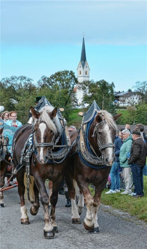 Der Leonhardiritt zählt zu den Höhepunkten im Kirchenjahr.