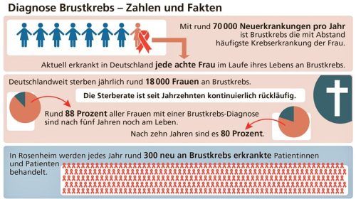 Die Anzahl der Brustkrebserkrankungen ist seit einigen Jahren deutlich gestiegen. Rund 18000 Frauen sterben jährlich an Brustkrebs. Klinger