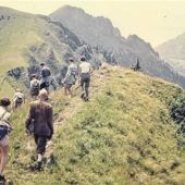 „Die Natur lässt sich immer was einfallen“