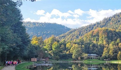 Die Oberaudorfer Grundschüler beim Laufen um den Luegsteinsee.Foto  Schacht