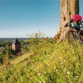 Wie gut steht der Landkreis da?