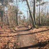 Ein Wiedersehen mit Friedel Anderson