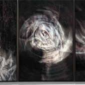 „Der Anfang aller Erkenntnis ist das Staunen“