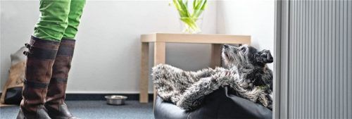 Kollege auf vier Pfoten: Hunde im Büro werden von vielen Unternehmen akzeptiert. Wichtig sind jedoch klare Regeln. Foto DJD/www.futterhaus.de/Friedrun Reinhold