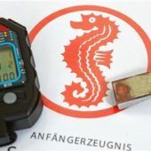 „Seepferdchen“ auf Erfolgswelle