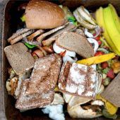 Ratsbegehren zur Bio-Tonne steht fest