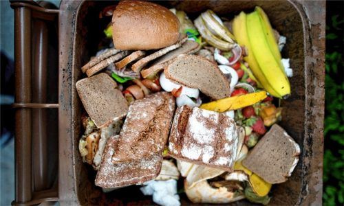 Ob es in Rosenheim in Zukunft eine Biotonne geben wird, darüber sollen nun die Bürger entscheiden. Foto dpa