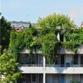 Keine Zwangs-Biotonne für alle