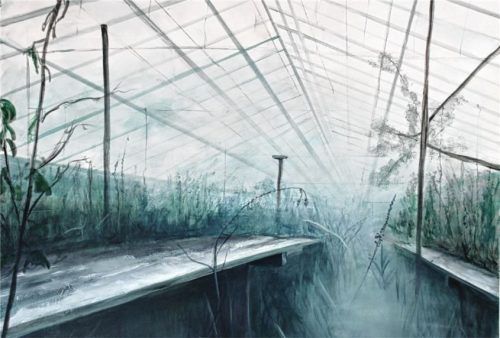 Verlassene Orte wie ein aufgegebenes Glashaus haben es der Künstlerin Andrea Würtinger angetan.Foto benekam