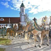 Ein Fest im Sattel: Tausende Besucher bei Leonhardi-Wallfahrten in Oberbayern