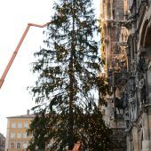„Hungerfichte“ sorgt für politische Verstimmung in Tirol
