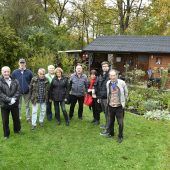 Stadt dreht Kleingärtnern den Strom ab