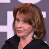 Das Rehkitz ist zurück