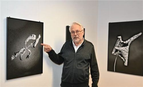 Der Fotograf Martin Weiand verwandelt welkes Grün zu Skulpturen mit großer Ausdruckskraft.Foto Schlecker