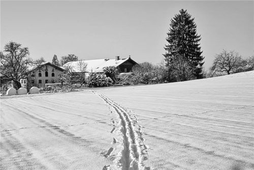 Der Hof von Grills Vater in Soyen im Landkreis Rosenheim in den 1960er-Jahren.