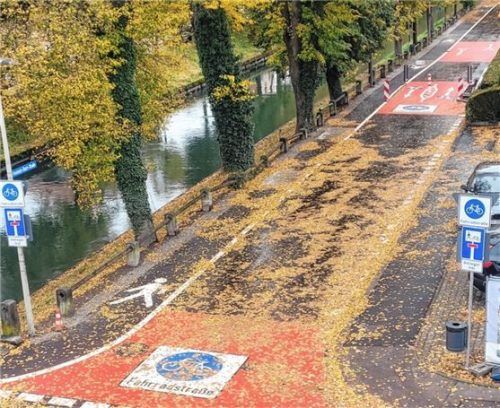 Die Friedrich-Ebert-Straße wird im Bereich von Ludwig- und Brückenstraße als Fahrradstraße eingeweiht. Parallel dazu finden Radsicherheitschecks statt. Foto  Stadt Koilbermoor