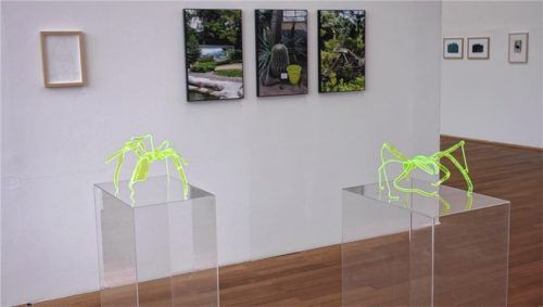 Die Insekten von Peter Pohl scheinen den Gartenfotos von Asja Schubert entsprungen zu sein.Foto friedrich