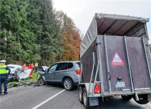 Die Kalbinnen, die im Anhänger eines Mannes aus dem Landkreis Traunstein in den Unfall verwickelt waren, blieben unverletzt. Foto Ammelburger