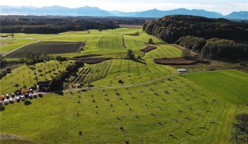 Die Streuobstwiese liegt westlich des Hilgerhofes in Niederbrunn. Die Fläche konnte der Landkreis Traunstein mithilfe Pittenharts vom Eigentümer erwerben. Foto Künzner-Hingerl