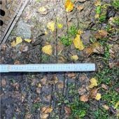 Polizei sucht nacheinem roten Fahrzeug