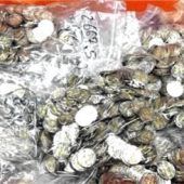 62 Kilo entwertete Zwei-Euro-Münzen