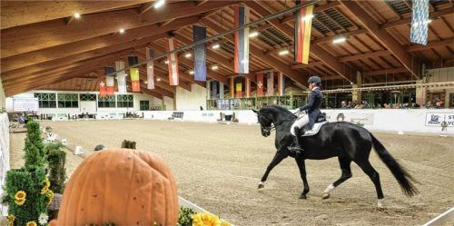 In der Isinger Reithalle wurde hervorragender Dressursport geboten.Foto Hans Weitz