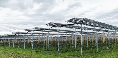 Mit der Erzeugung von erneuerbarer Energie, wie hier mit einer Agri-PV-Anlage, wollen die Landkreisgemeinden ihre Bürger mit preiswertem Strom versorgen. Foto IMAGO