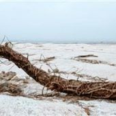 Bunte Ausstellung derFotofreunde in der Stollstraße