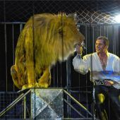 Der mit den Löwen tanzt