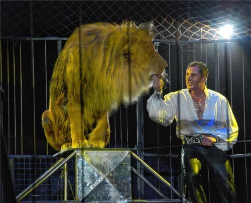 Zirkusdirektor Martin Lacey junior arbeitet beim Circus Krone mit Löwen und Tigern. Bereits 2007 war er zu Besuch in Rosenheim. Foto Peter Schlecker