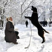 So schee is’ im Schnee