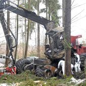 Feuerteufel im Forst