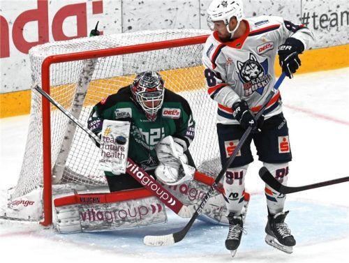Auf eine starke Leistung von Starbulls-Goalie Tomas Pöpperle wird es auch im dritten Aufeinandertreffen mit den Kassel Huskies ankommen.Foto Hans-Jürgen Ziegler
