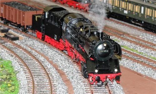 Bei einer Ausstellung des Rosenheimer Eisenbahnclubs werden in Nußdorf Kinderträume wahr, wenn Modelleisenbahnen über ihre Gleise ziehen.Foto Steffenhagen