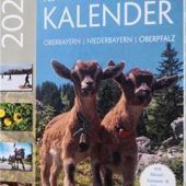 Saudonerl, Schoatnkiachi und Trudensteine