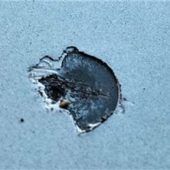 „Definitiv kein Jugendstreich“: Schüsse auf Auto in Riedering