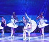 Ballettklassiker Schwanensee