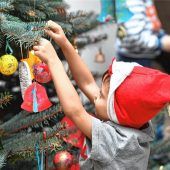 Rosenheims Christbäume sind standfest