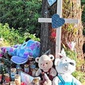 Tod in der Tempo-30-Zone